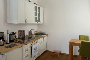 Kunzmann-Apartment-Kueche